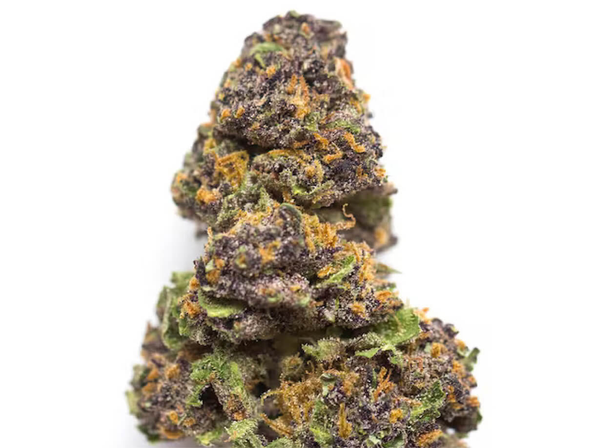 Sherbert Shortcake 